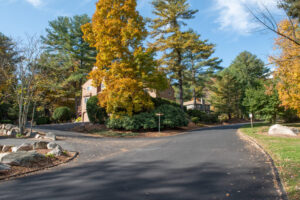 Professional asphalt paving company near me