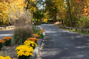 Asphalt road paving