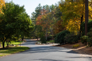 asphalt paving services