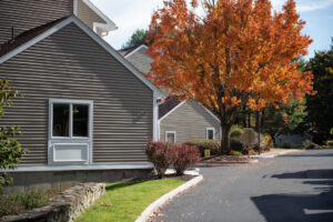 Asphalt road paving